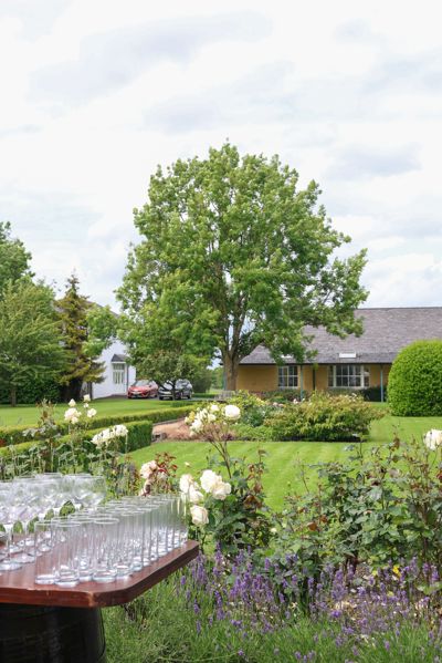 Garden 2
