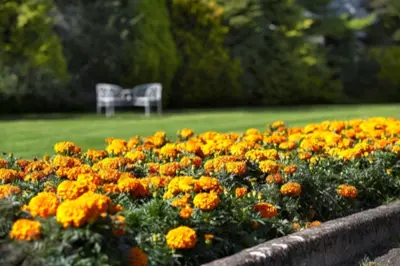 Flowers in the country gardens at Dunraven 4 star hotel