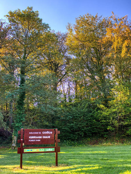 Curraghchase Forest Park, County Limerick TI718BV