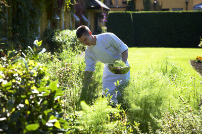 Chef Bending Picking Herbs
